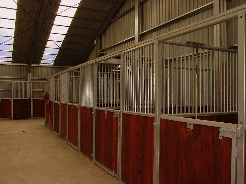 Steel Horse Stables